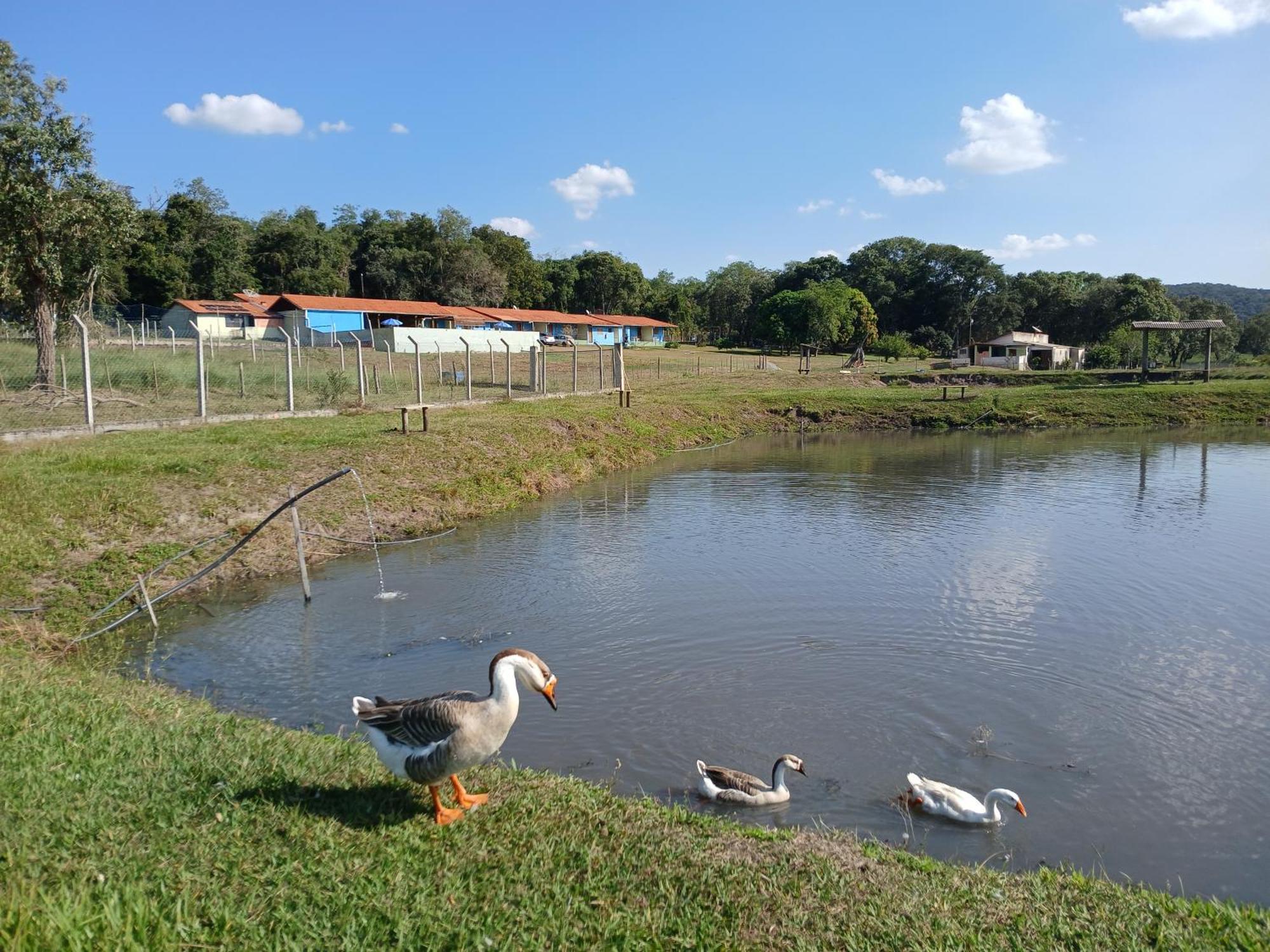 Hotel Fazenda Recanto do Monte Alegre Piraju Esterno foto