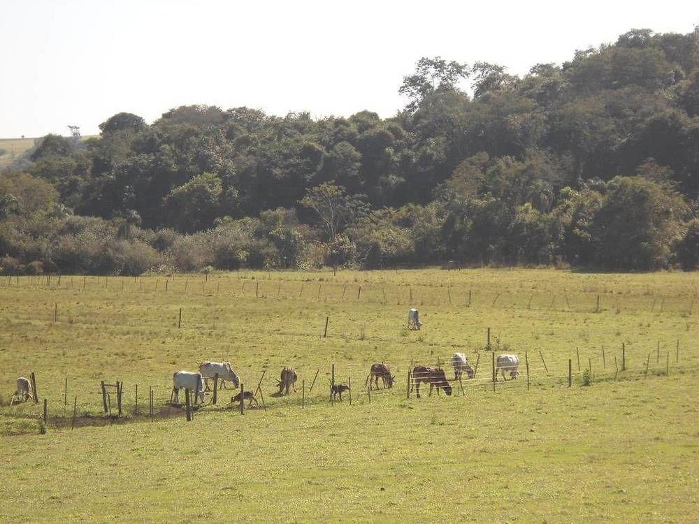 Hotel Fazenda Recanto do Monte Alegre Piraju Esterno foto
